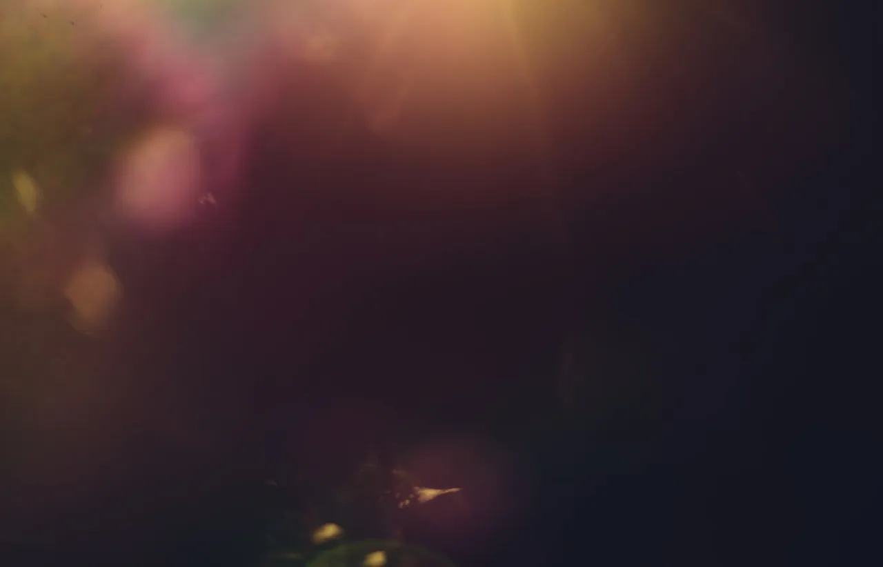Soft lens flare and diffused light leaking across a dark, almost black background