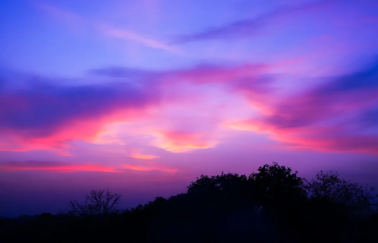 A twilight sky washed in violet and pink cloud gradients above a thin dark silhouette of treetops