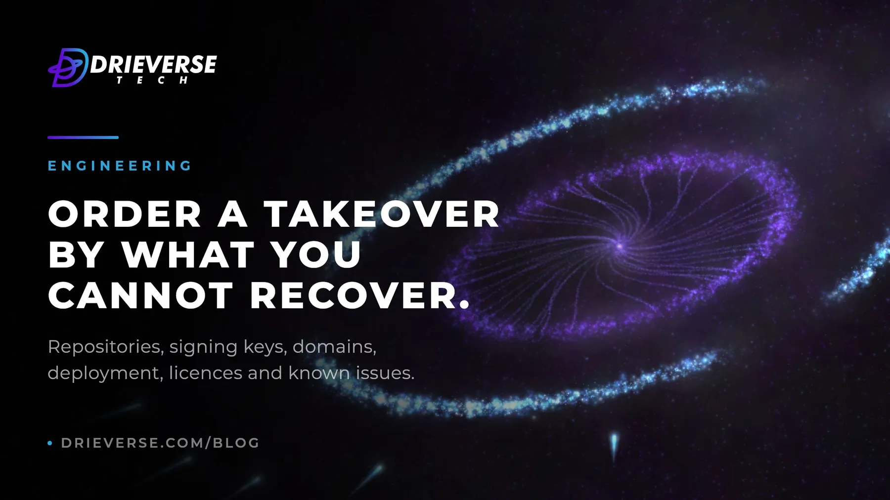 Taking Over a Software Project: What to Secure